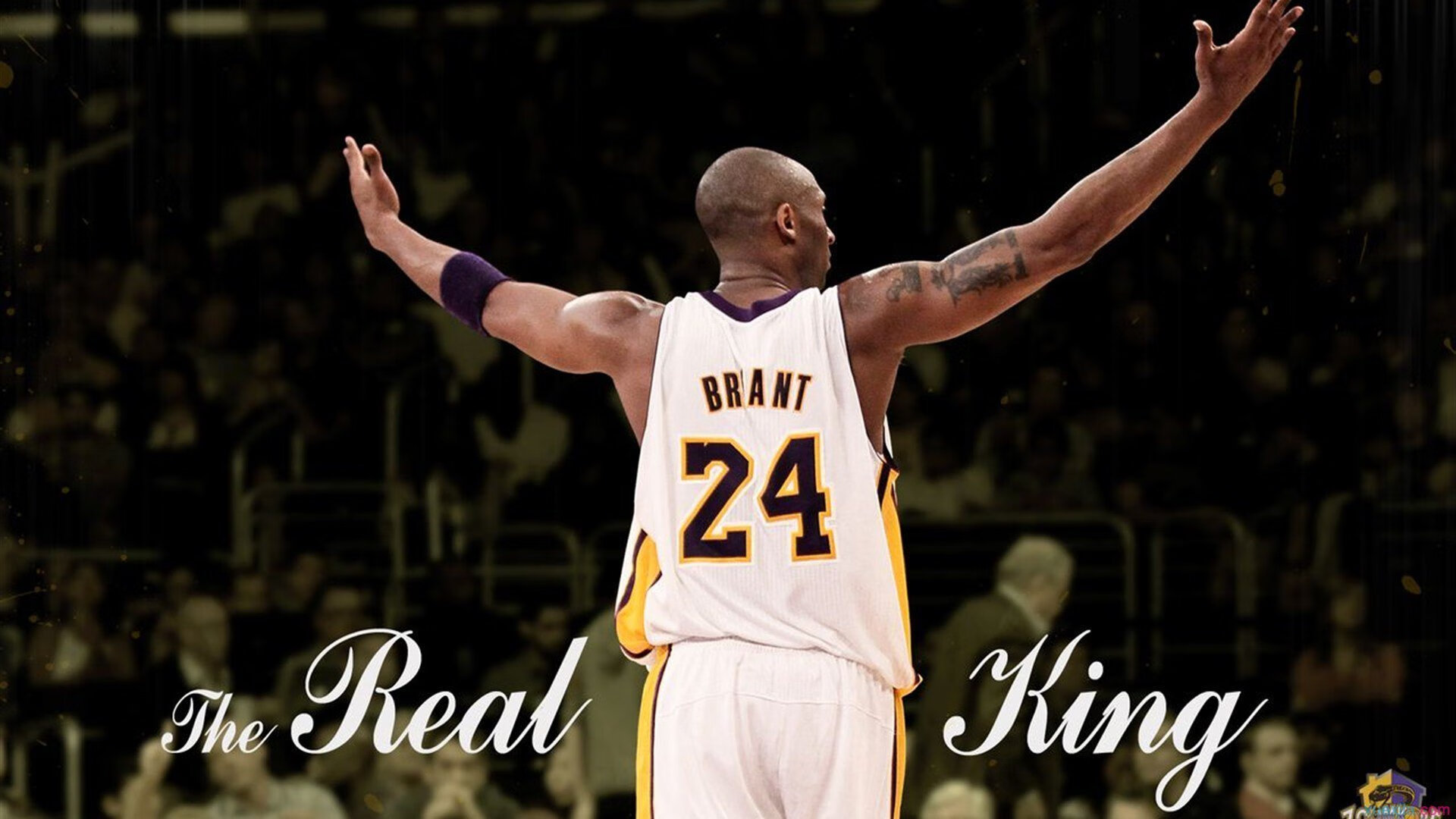 凯尔特人完胜雄鹿，孙铭徽统治全场，一场跨越篮球文化的胜利对话